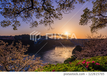 A collaboration of cherry blossoms in full bloom and whirlpools at Saikai Bridge in the sunset A collaboration of cherry blossoms in full bloom and whirlpools at Saikai Bridge in the sunset 122615785