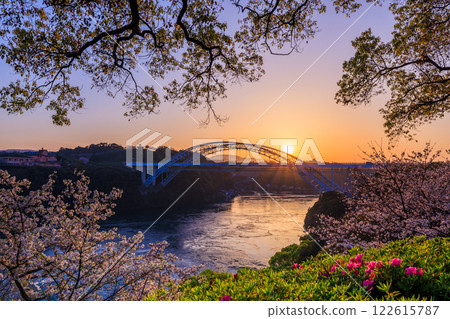 A collaboration of cherry blossoms in full bloom and whirlpools at Saikai Bridge in the sunset 122615787