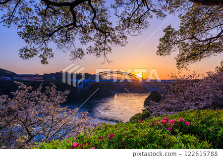 A collaboration of cherry blossoms in full bloom and whirlpools at Saikai Bridge in the sunset 122615788