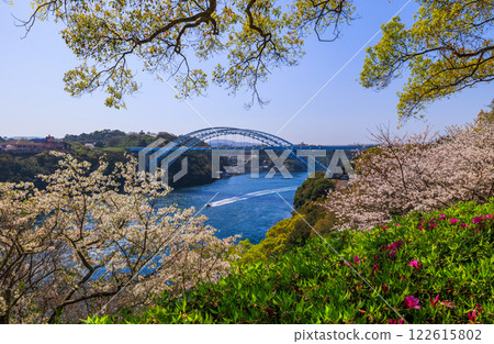落日西海大橋的櫻花與漩渦交相輝映 落日西海大橋的櫻花與漩渦交相輝映 122615802