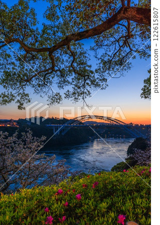 A collaboration of cherry blossoms in full bloom and whirlpools at Saikai Bridge in the sunset A collaboration of cherry blossoms in full bloom and whirlpools at Saikai Bridge in the sunset 122615807