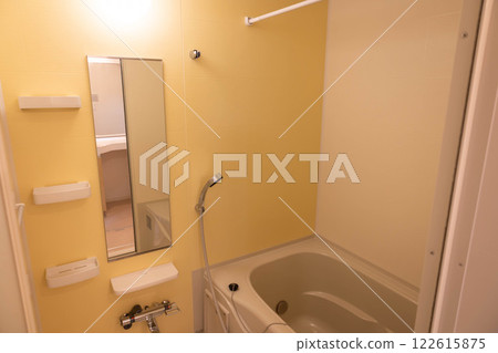 The empty bathroom before the move 122615875