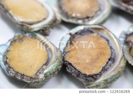 Abalone Abalone 122616269