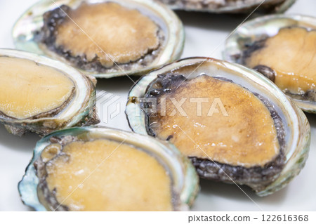 鮑魚 鮑魚 122616368