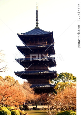 京都府東寺/五層塔(國寶)京都市南區九條町 2022 年 2 月 京都府東寺/五層塔(國寶)京都市南區九條町 2022 年 2 月 122616576