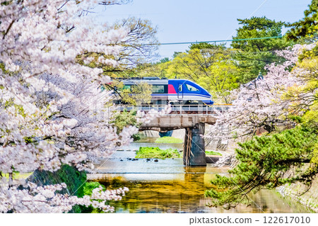 Hyogo: Cherry blossoms blooming at Shukugawa Park 122617010