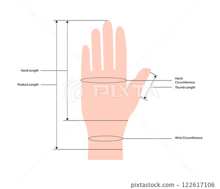 Diagram of measuring hands for Gloves, mittens, mitts nude cartoon Fashion accessory clothing technical illustration. Diagram of measuring hands for Gloves, mittens, mitts nude cartoon Fashion accessory clothing technical illustration. 122617106