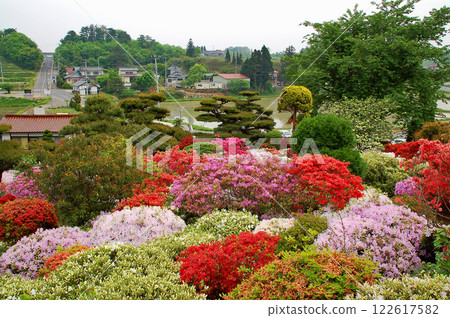 Fukushima Prefecture, Sukagawa City, Okuwabara Azalea Garden, Azalea 122617582