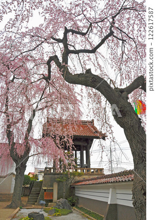 Cherry blossoms and bell tower at Choshoin Temple in Sukagawa City, Fukushima Prefecture 122617587