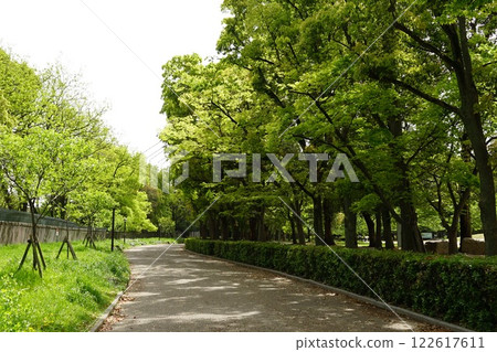 長居公園散步道 長居公園散步道 122617611