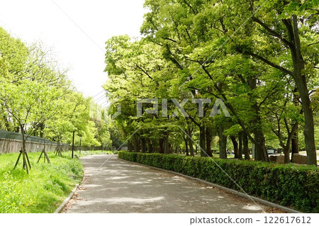 長居公園散步道 122617612