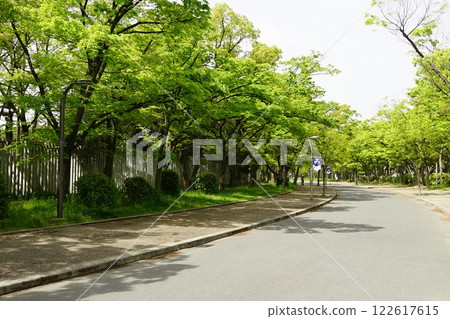 長居公園散步道 長居公園散步道 122617615