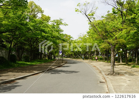 長居公園散步道 122617616