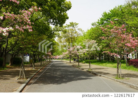 長居公園散步道 長居公園散步道 122617617
