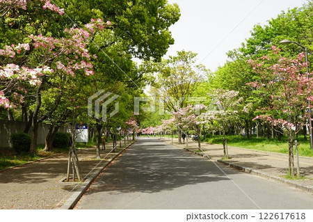 長居公園散步道 122617618