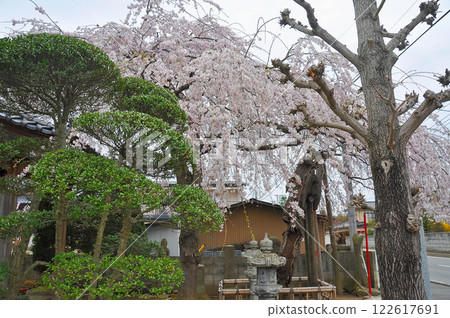奧州高速公路、葛西石宿、西光寺境內 奧州高速公路、葛西石宿、西光寺境內 122617691