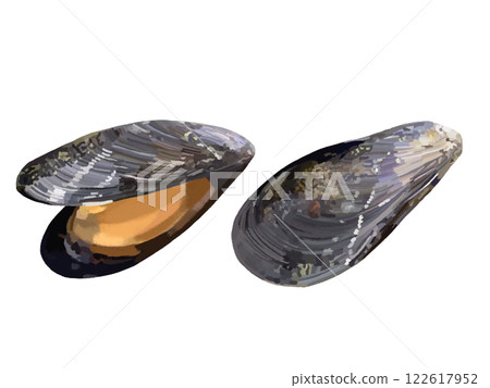 mussels	 122617952