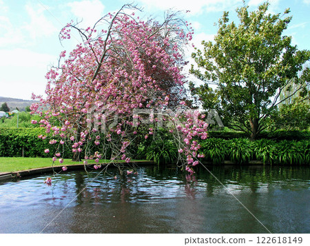 Australia Tasmania Salmon Pond Hatchery Australia Tasmania Salmon Pond Hatchery 122618149