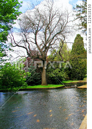 Australia Tasmania Salmon Pond Hatchery 122618150