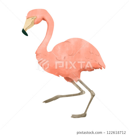 Watercolor Illustration of a Pink Flamingo Tropical Bird for Print and Web 122618712
