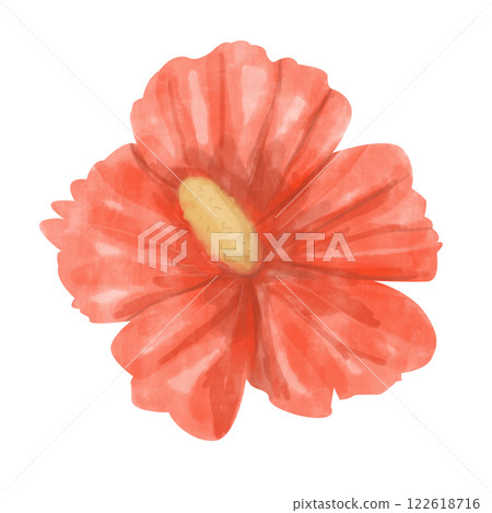 Watercolor Tropical Flower Hibiscus Red with Yellow Center Illustration Isolated for Print and Web Use 122618716