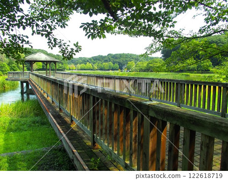 21 世紀森林和廣場的夏季風景,有木橋和涼亭 21 世紀森林和廣場的夏季風景,有木橋和涼亭 122618719