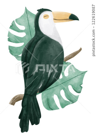 Watercolor Toucan Bird Sitting on a Branch with Large Exotic Monstera Leaves, Composition Illustration for Printing, Web and Textiles 122619087