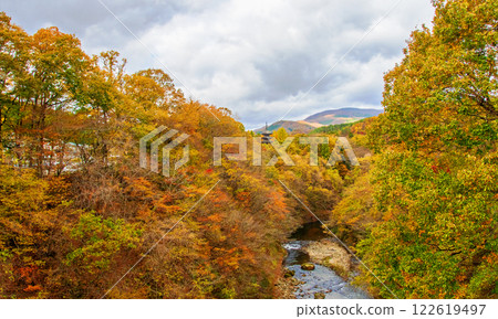 Sendai City, Jogi, Gokurakuzan Saihoji Temple, Okura River, Five-story Pagoda seen from Jogi Bridge 122619497
