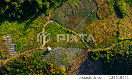 Aerial view of a countryside road through green forest and mountain in the evening. Aerial view of a countryside road through green forest and mountain in the evening. 122619951
