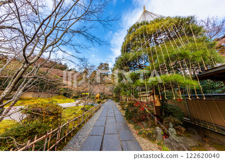 Late autumn at Entsuin Temple's Ungai Tenchi Garden (Matsushima Town, Miyagi County, Miyagi Prefecture) 122620040