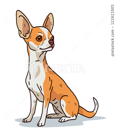 Chihuahua dog sitting cute pet animal illustration. Brown and white colors with large ears and alert expression on white background Chihuahua dog sitting cute pet animal illustration. Brown and white colors with large ears and alert expression on white background 122621005