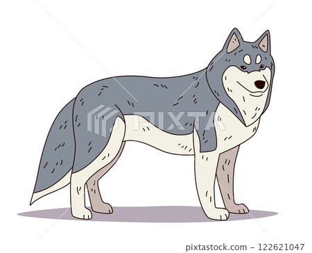 Husky dog cartoon style standing pose grey and cream fur simple lines white background playful expression animal character design Husky dog cartoon style standing pose grey and cream fur simple lines white background playful expression animal character design 122621047