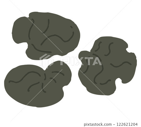 木耳菇的圖解 122621204