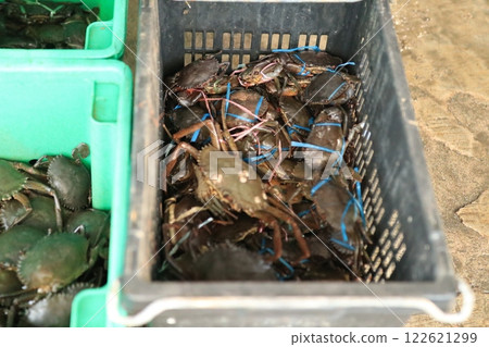 一隻螃蟹 一隻螃蟹 122621299