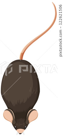 Top View of a Mouse Illustration Top View of a Mouse Illustration 122621506