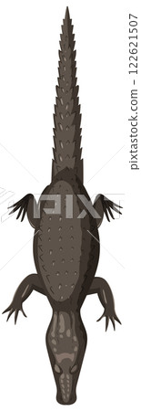 Top View of a Crocodile Illustration 122621507