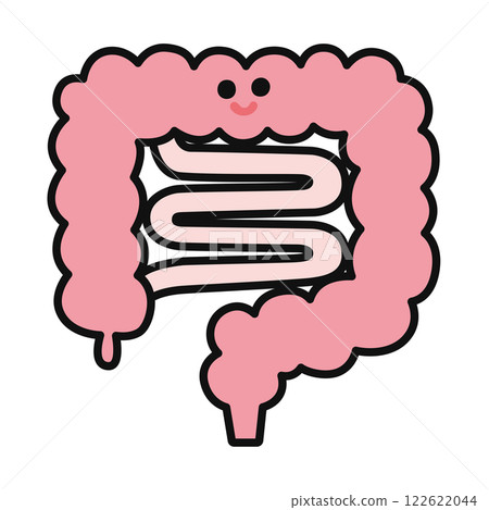 Cute large intestine and small intestine 122622044