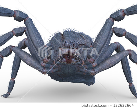  一隻蜘蛛 122622664