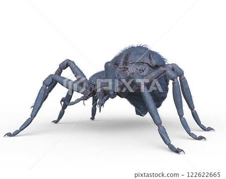  一隻蜘蛛 122622665