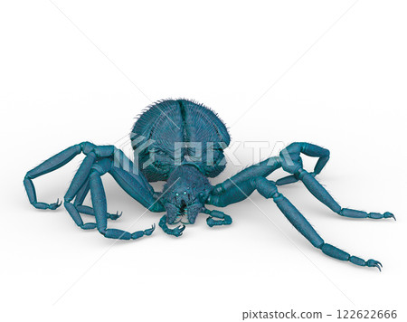  一隻蜘蛛 122622666