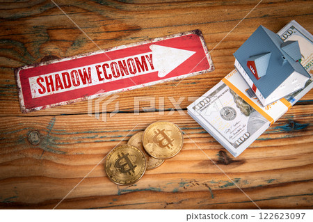 Shadow Economy. Money and miniature house on a wooden texture background Shadow Economy. Money and miniature house on a wooden texture background 122623097