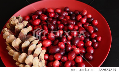 Cranberries in rich shades of red contrast with natural pinecones on plate, representing organic simplicity. Eco-conscious arrangement celebrates beauty of organic produce, highlighting eco values. Cranberries in rich shades of red contrast with natural pinecones on plate, representing organic simplicity. Eco-conscious arrangement celebrates beauty of organic produce, highlighting eco values. 122623215