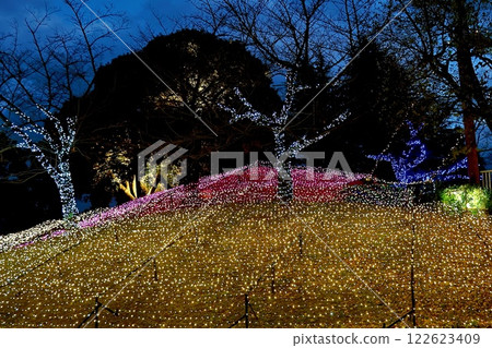 Christmas illuminations at Chiryu Shinchi Dream Park 122623409