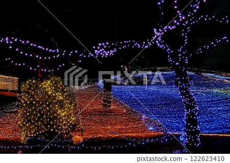 知道新地夢幻公園的聖誕彩燈 122623410