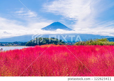 【山梨縣】晨曦中映襯著紅霞的藜麥和富士山 122623411