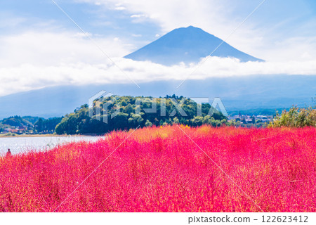 【山梨縣】晨曦中映襯著紅霞的藜麥和富士山 122623412