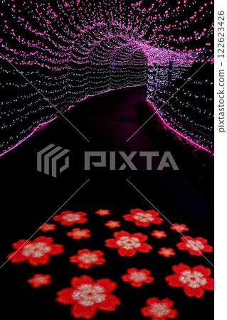 Christmas illuminations at Chiryu Shinchi Dream Park Christmas illuminations at Chiryu Shinchi Dream Park 122623426