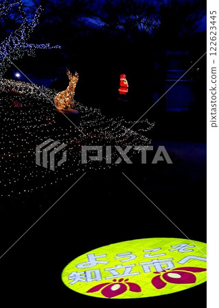 Christmas illuminations at Chiryu Shinchi Dream Park 122623445