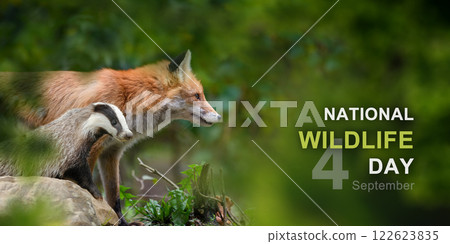 National wildlife day National wildlife day 122623835