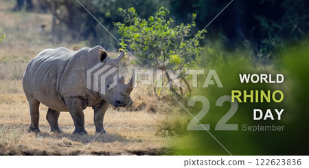 World rhino day World rhino day 122623836